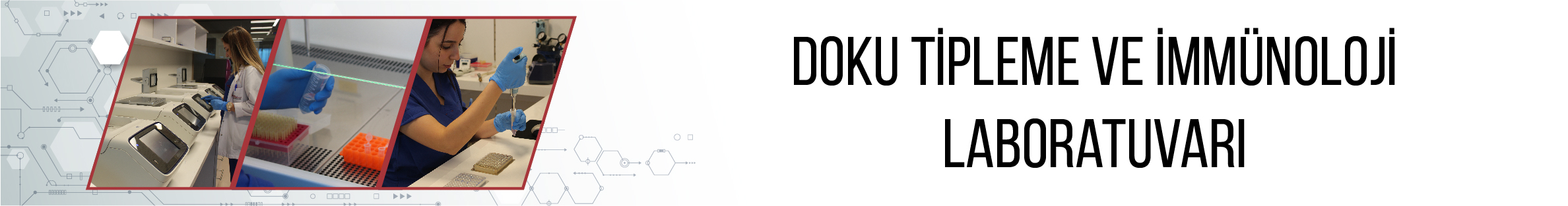 Doku Tipleme ve İmmünoloji Laboratuvarı